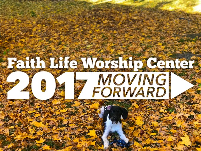2017-11-19-moving-forward