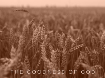 goodness-of-god-2019-orange